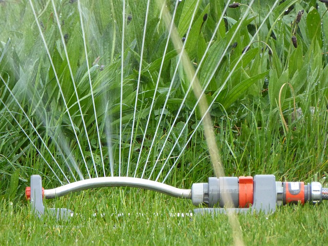 Considera un sistema de riego para tus plantas, sobre todo si estarás largas horas fuera de la casa o te vas de vacaciones. Foto: Pixabay