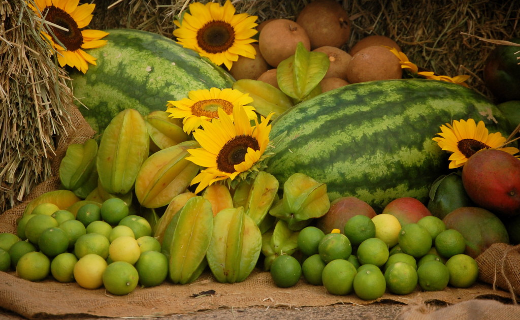 El limón criollo (Citrus lima) es nativo del archipiélago de las Indias Orientales. Foto Archivo: Ianice Viel Santiago