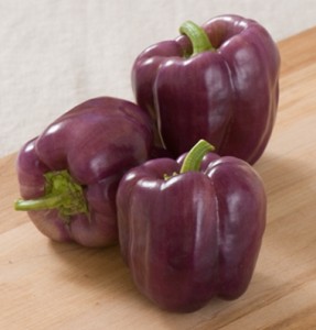 Este bell pepper madura de color lavanda o violeta hasta llegar a rojo, en 80 días aproximadamente. Disponible en Plantas de Puerto Rico. 