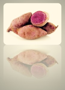 Experimenta la siembra de diferentes tipos de batatas como la Gem, Okinawa, Canolia y Camuy