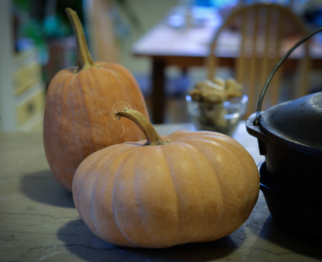 Calabaza 'Cenicienta'. Foto: María Esther Vives Rodríguez