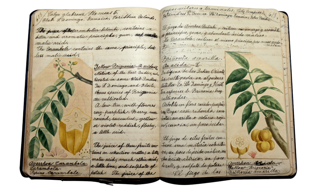 Libreta de la Botánica antillana de Ana Roqué de Duprey. Foto por Juan Costa/Centro de Periodismo Investigativo