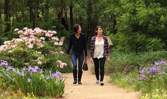 Pasea por el California Native Garden. Si vas en verano, abrígate. Foto: Travis Lange, SFBGS