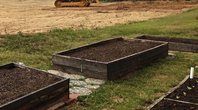 Cultivo de hortalizas en el huerto