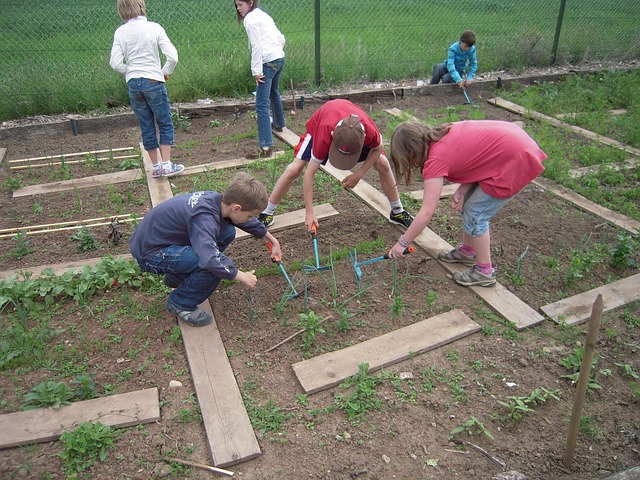 Antes de preparar tu huerto, ofrécete como voluntario en un huerto escolar. Foto: Pixabay.com