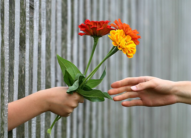 Entrega de flores roja, amarillo y naranja