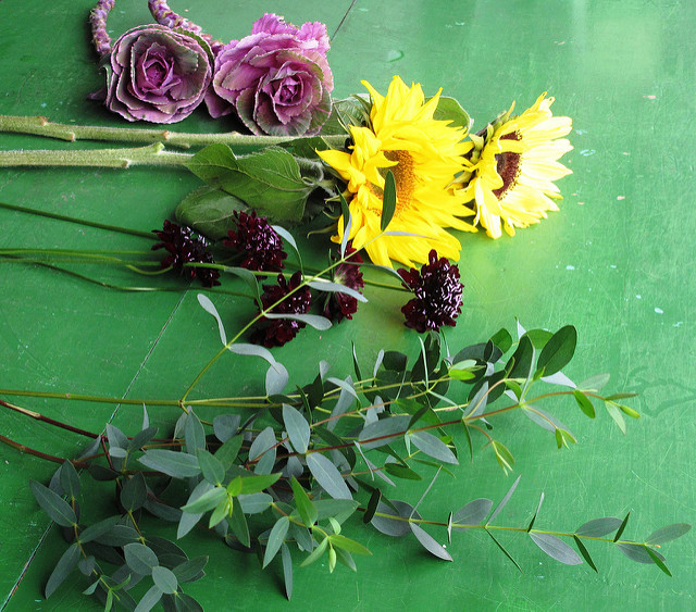 Flores rosas, amarillas y follaje verde