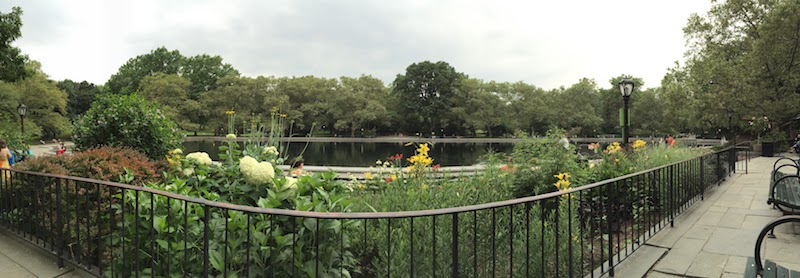 Central Park