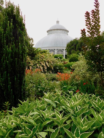 Haupt Conservatory