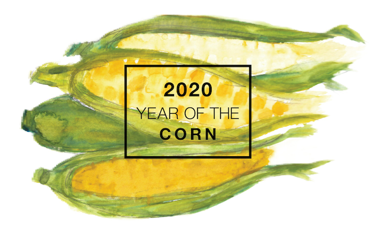 Ilustración del maíz