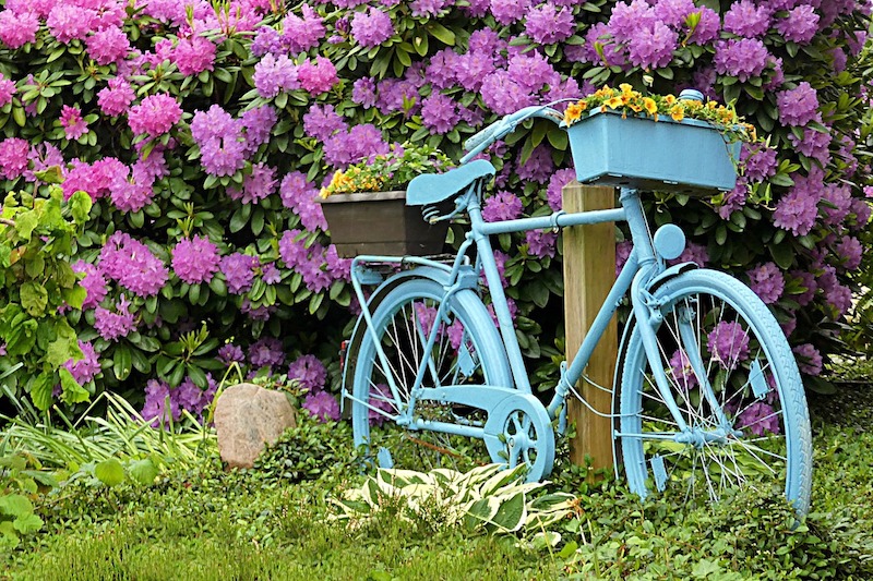 Bicicleta en jardinería
