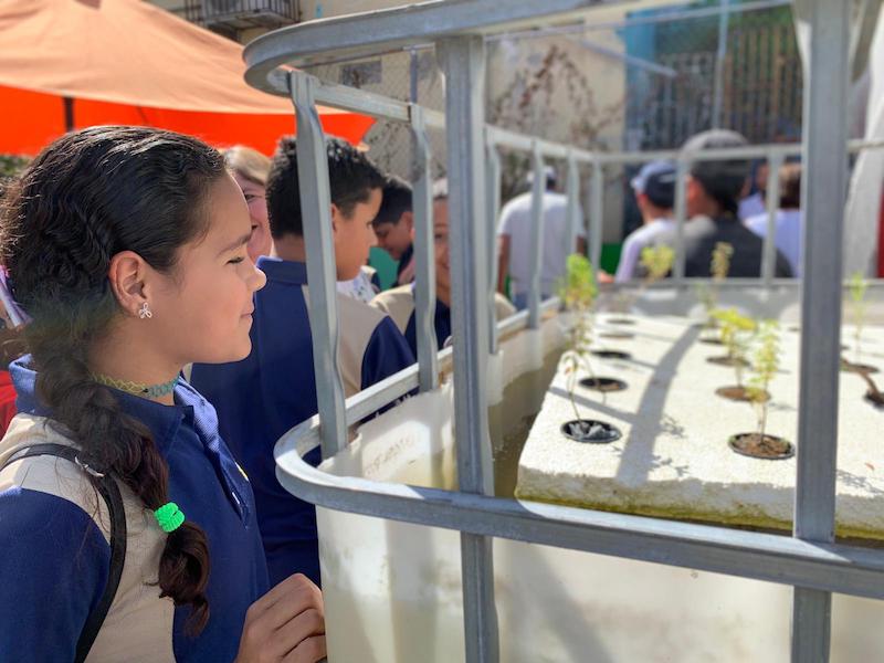 Hidropónicos en Nuestra Escuela