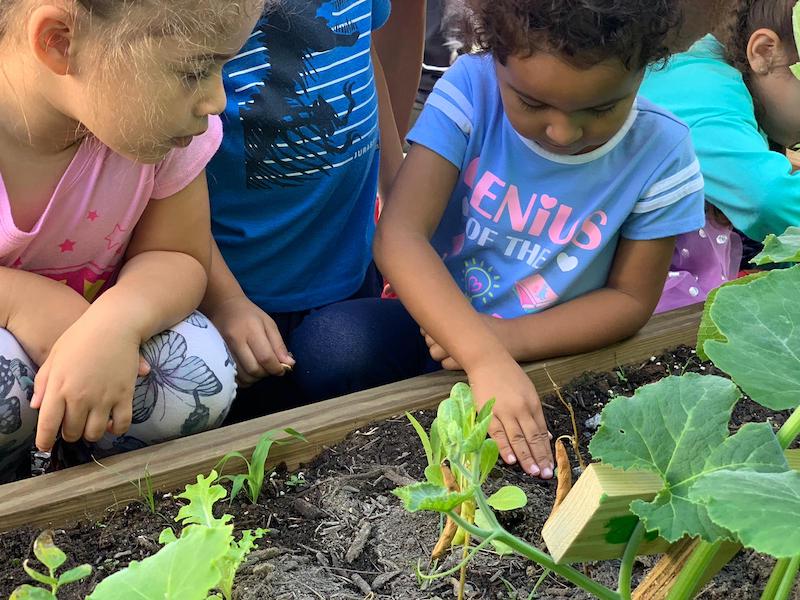 Niños en huerto de Nuestra Escuela