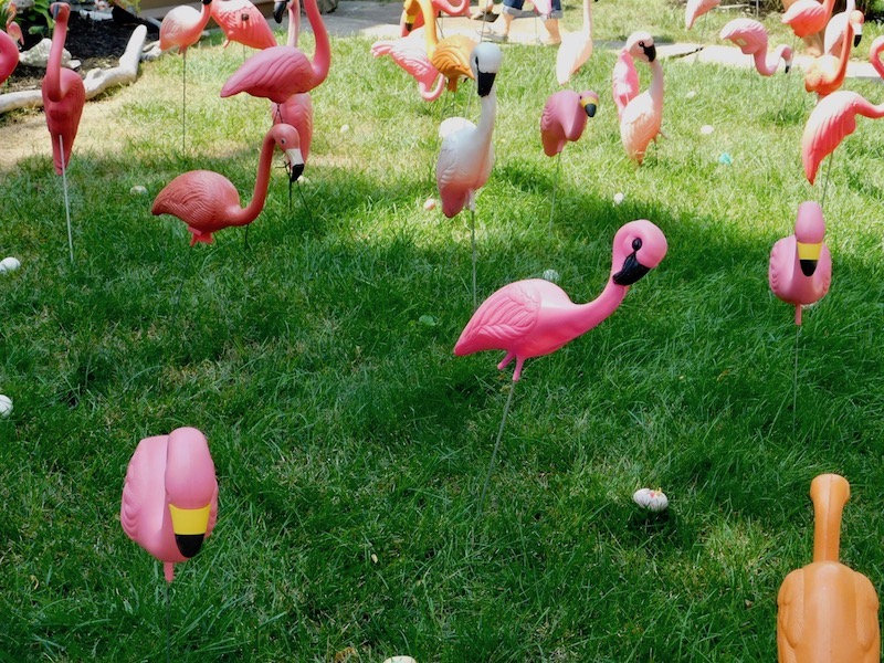 flamingos de plástico sobre césped