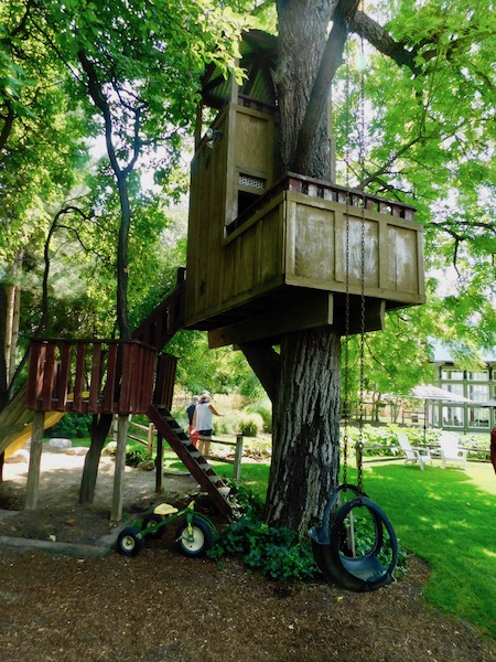Casa en un árbol