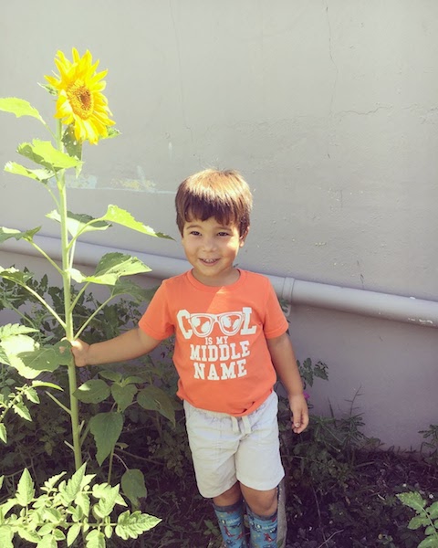 niño sonriente junto a planta de girasol amarillo