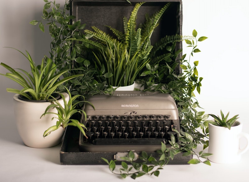 máquina de escribir con plantas alrededor