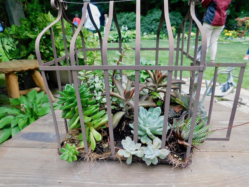 DIY: ¡Pajareras en el patio! - Agrochic: Jardinería y Bienestar